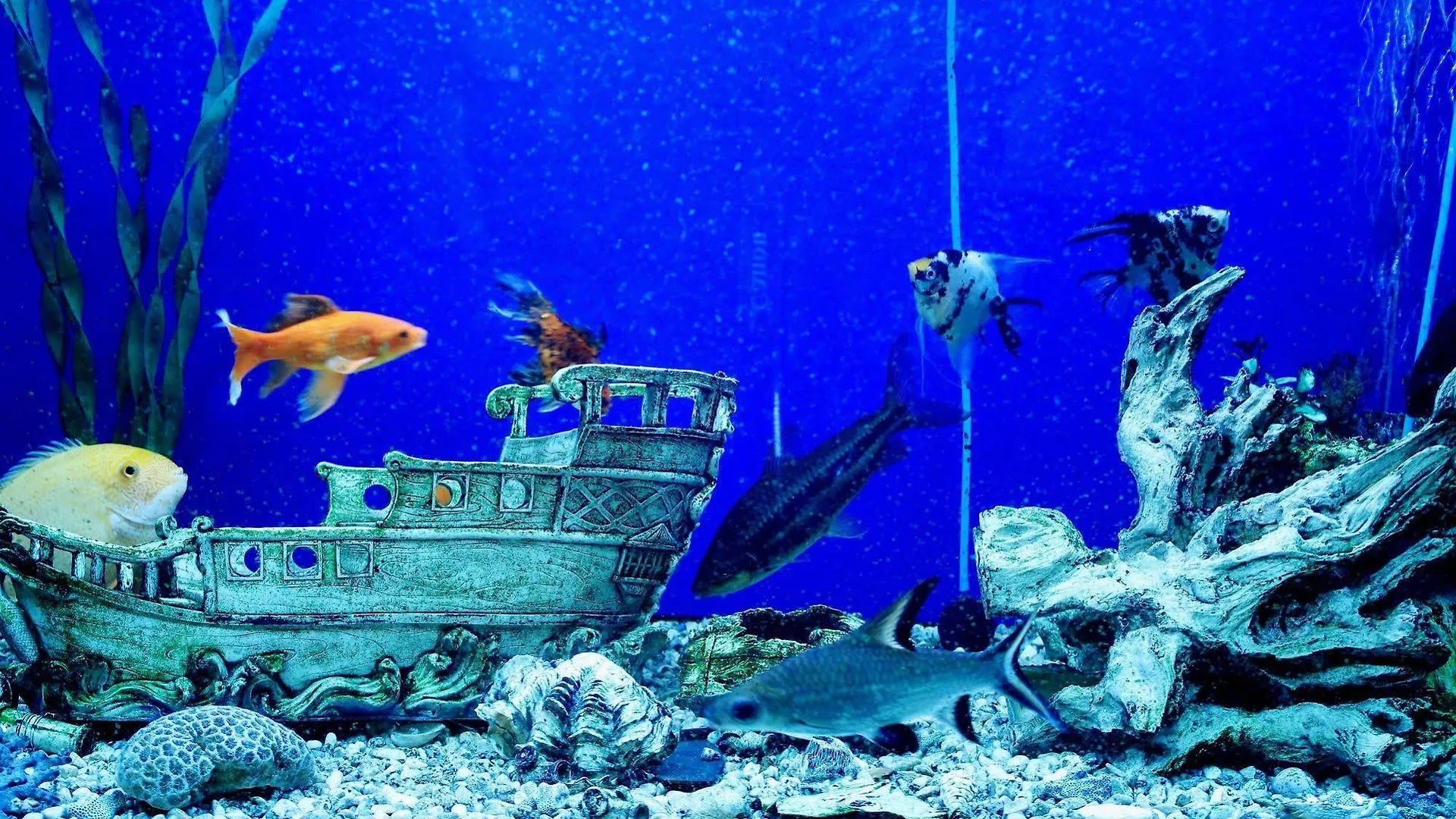 Sea Princess Motel Eilat